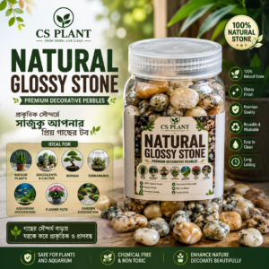 NATURAL GLOSSY STONE