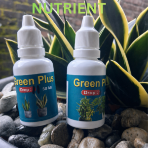 GREEN PLUS
