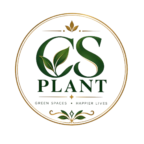 elegant cs plant botanical emblem removebg preview